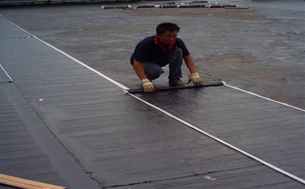 ʩ���ֳ�